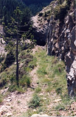 Imtge del traçat miner 1996.